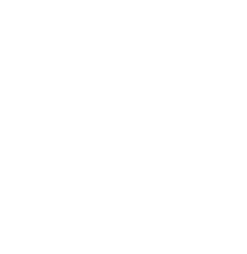 SNT Realtors Logo